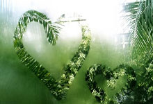 2021年巴甲赛程比分结果都有哪些亮点？